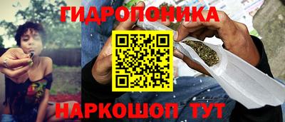 дживик Камышлов