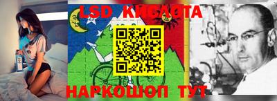 mdpv Кандалакша