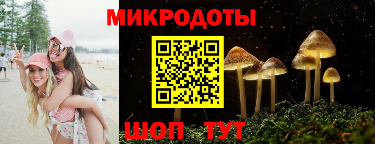Галлюциногенные грибы ЛСД Гай