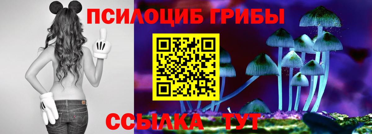 Галлюциногенные грибы GOLDEN TEACHER  Вход с VPN  Гай 