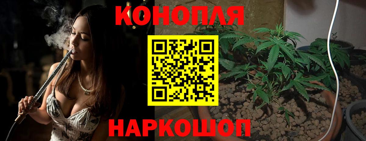 Конопля Bruce Banner Гай